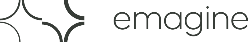 High-end business & IT consultants